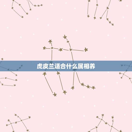 虎皮兰适合什么属相养,虎皮兰适合什么土养植? 虎皮兰适合什么属相养,虎皮兰适合什么土养植?