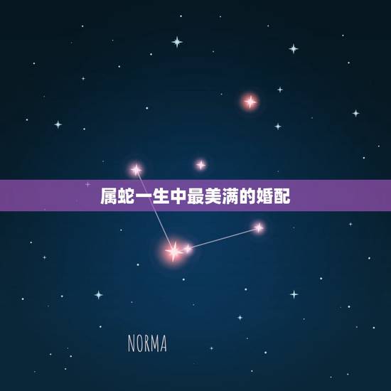 属蛇一生中最美满的婚配，93年属鸡女和什么相配好