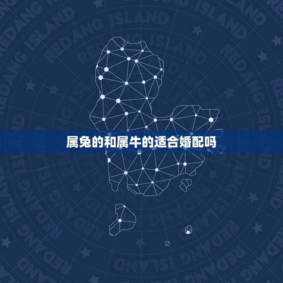 属兔的和属牛的适合婚配吗,属兔的和属牛的相配吗 属兔的和属牛的适合婚配吗,属兔的和属牛的相配吗