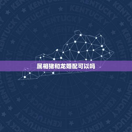 属相猪和龙婚配可以吗，属相猪和什么属相相克