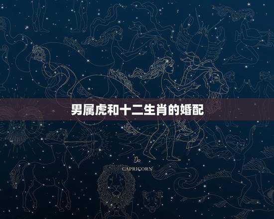 男属虎和十二生肖的婚配,1998年属虎更佳婚配 男属虎和十二生肖的婚配,1998年属虎更佳婚配