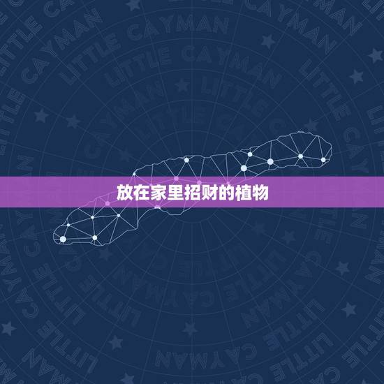放在家里招财的植物，家里放什么花招财？