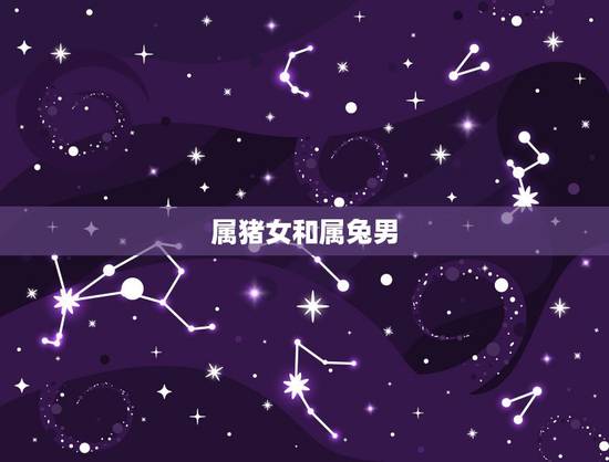 属猪女和属兔男，属马男和属猪女合不合