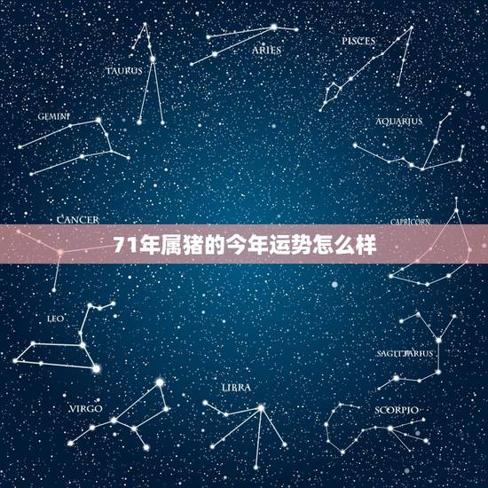 71年属猪的今年运势怎么样，属猪的49岁有什么灾难