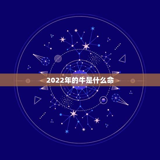 2022年的牛是什么命，2022什么年属什么，什么命