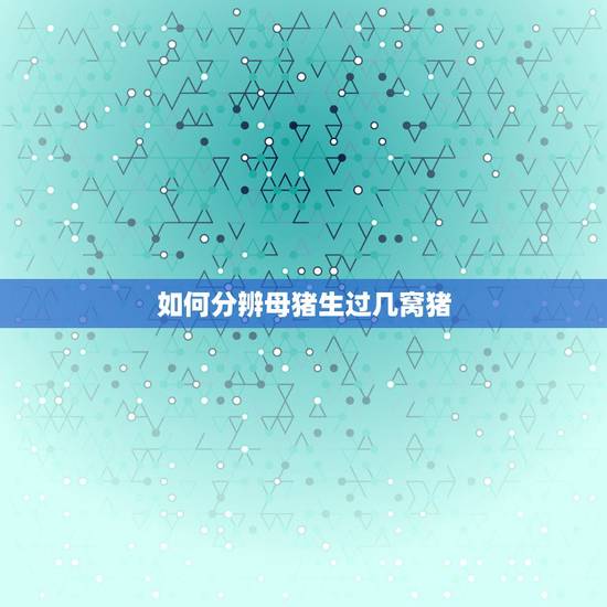 如何分辨母猪生过几窝猪,母猪胎动少是不是下小猪少 如何分辨母猪生过几窝猪,母猪胎动少是不是下小猪少