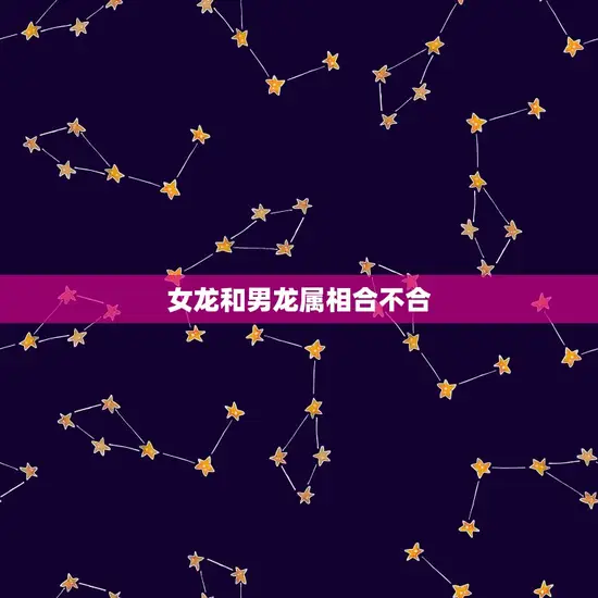 女龙和男龙属相合不合 女龙和男龙属相合不合