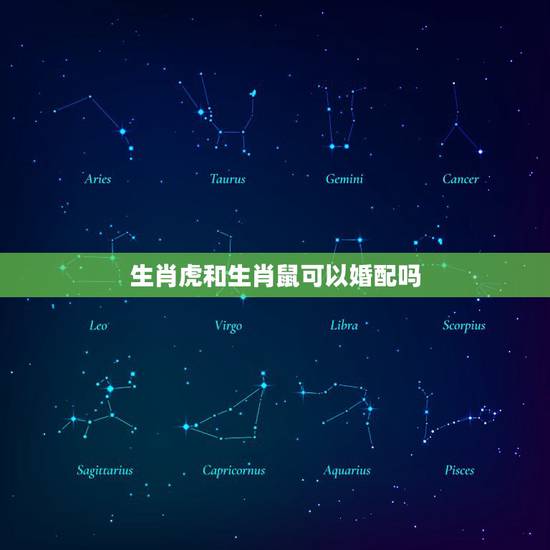 生肖虎和生肖鼠可以婚配吗，十二生肖鼠与虎的可以在一起吗？