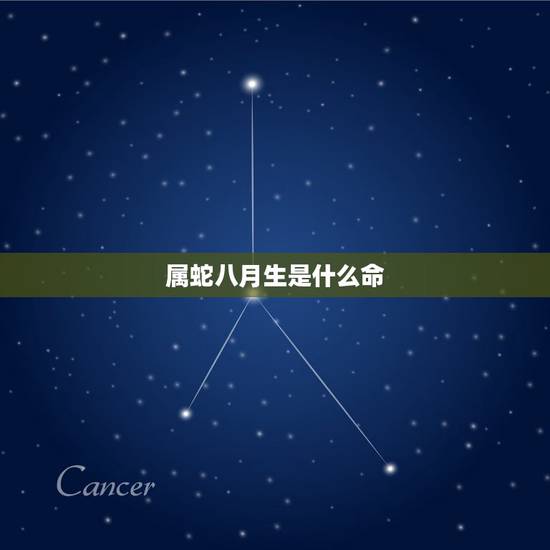 属蛇八月生是什么命,免费生辰八字五行查询 属蛇八月生是什么命,免费生辰八字五行查询