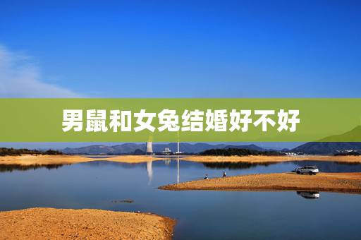 男鼠和女兔结婚好不好,属鼠男和属兔女适合做夫妻吗 男鼠和女兔结婚好不好,属鼠男和属兔女适合做夫妻吗