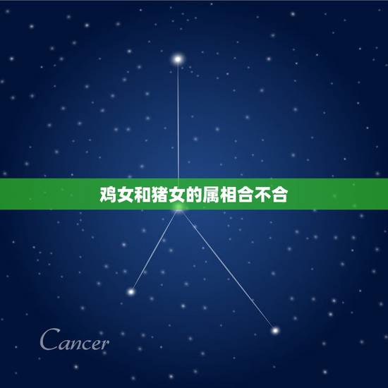 鸡女和猪女的属相合不合，属鸡女的和属猪女的说还犯冲