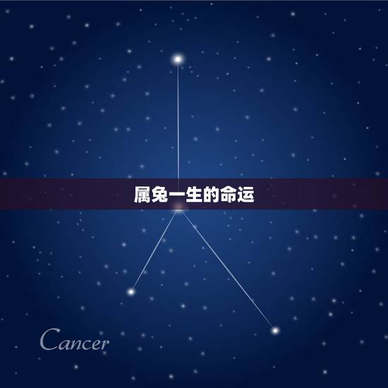 属兔一生的命运，属兔一生的命运怎么样1975