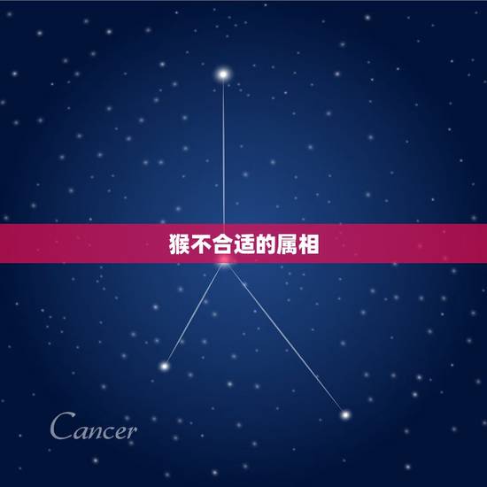 猴不合适的属相,生肖猴最怕遇到哪个生肖 猴不合适的属相,生肖猴最怕遇到哪个生肖