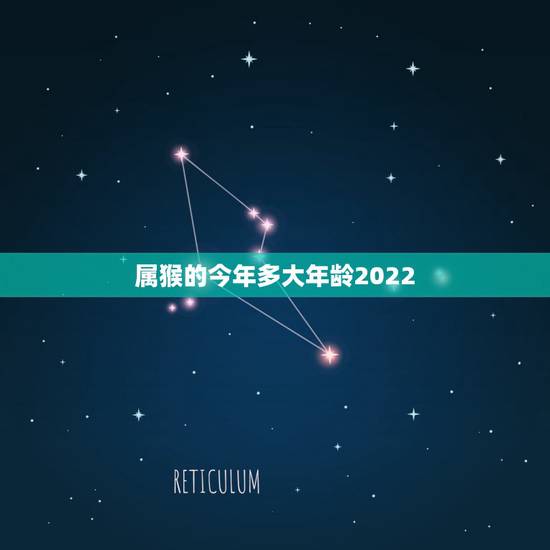 属猴的今年多大年龄2022，属兔2022 年运势及运程