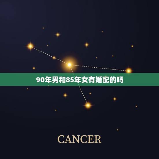 90年男和85年女有婚配的吗,85年女和90年男在一起 他们属相相配吗 90年男和85年女有婚配的吗,85年女和90年男在一起 他们属相相配吗