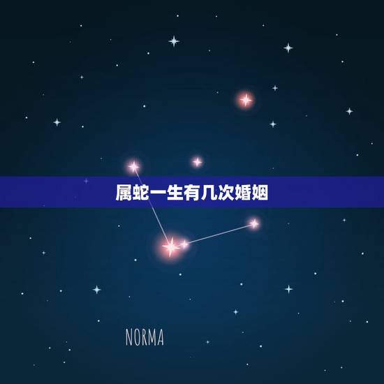属蛇一生有几次婚姻,属蛇人婚姻一般有几婚 属蛇一生有几次婚姻,属蛇人婚姻一般有几婚