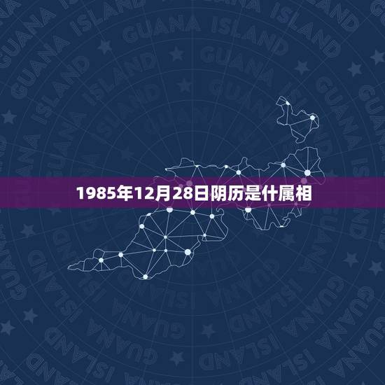 1985年12月28日阴历是什属相，属牛男的和什么属相最配