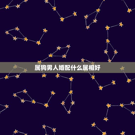 属狗男人婚配什么属相好，男属狗的和什么属相最配