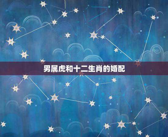 男属虎和十二生肖的婚配,最适合属虎男的生肖女 男属虎和十二生肖的婚配,最适合属虎男的生肖女