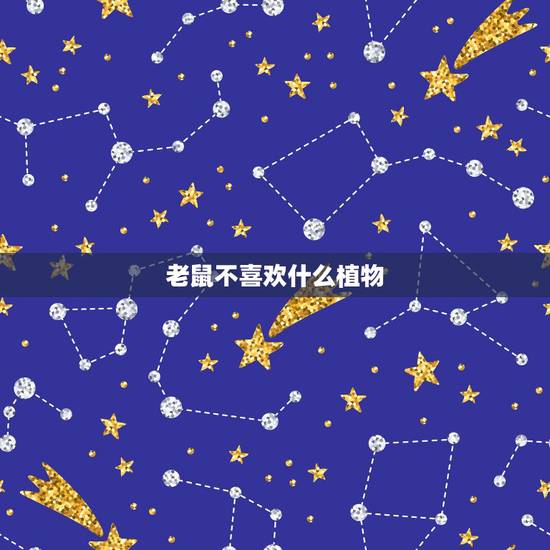 老鼠不喜欢什么植物，负鼠不喜欢什么植物