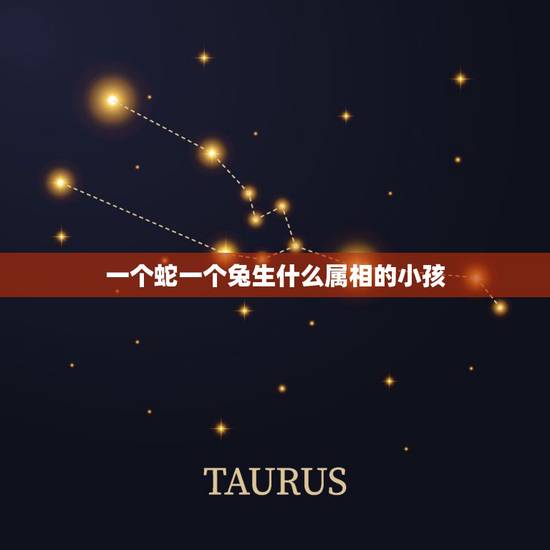 一个蛇一个兔生什么属相的小孩,妈妈属蛇,爸爸属兔,生什么属相的孩子好 一个蛇一个兔生什么属相的小孩,妈妈属蛇,爸爸属兔,生什么属相的孩子好