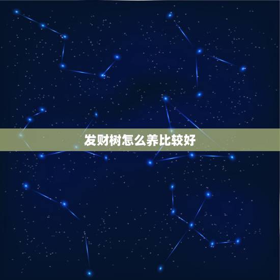 发财树怎么养比较好，发财树要怎么养比较好