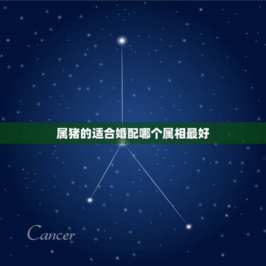 属猪的适合婚配哪个属相最好,属猪的和什么属相最配 属猪的适合婚配哪个属相最好,属猪的和什么属相最配