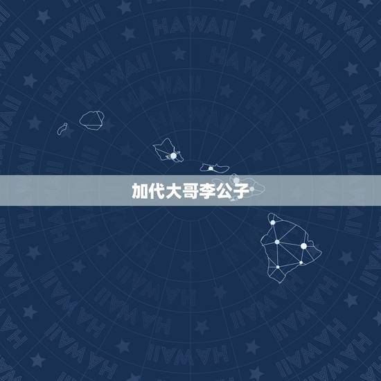 加代大哥李公子,加代的背后大人物 加代大哥李公子,加代的背后大人物