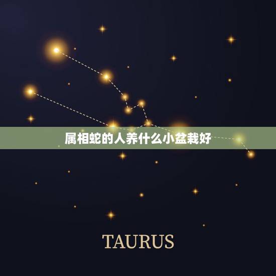 属相蛇的人养什么小盆栽好，属蛇的人养什么花能生财