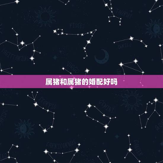 属猪和属猪的婚配好吗,属猪和属猪相配吗 属猪和属猪的婚配好吗,属猪和属猪相配吗