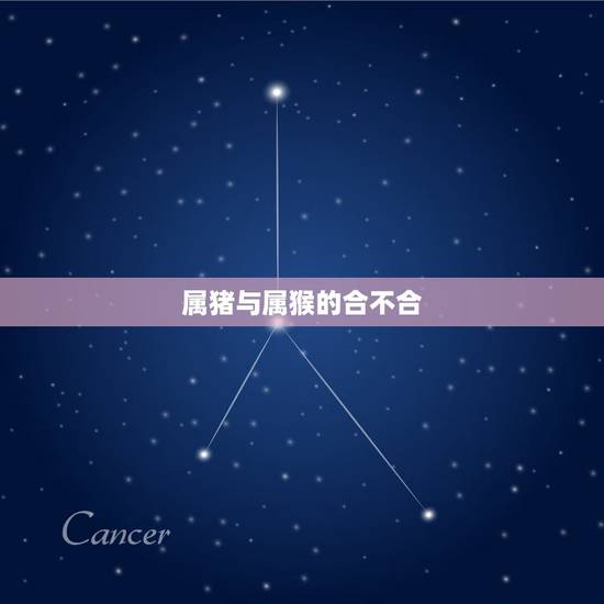 属猪与属猴的合不合,属猪和属猴配是不是会相克,有解吗 属猪与属猴的合不合,属猪和属猴配是不是会相克,有解吗