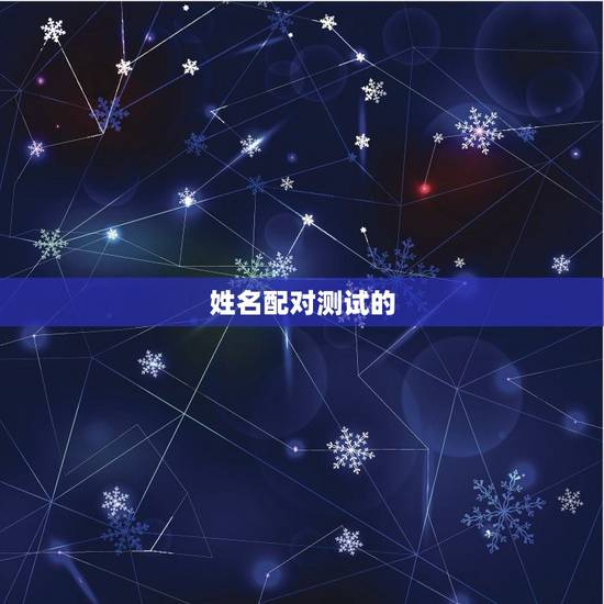 姓名配对测试的 姓名配对测试的