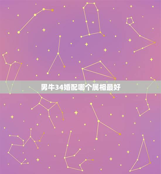 男牛34婚配哪个属相最好，属牛男配什么属相最好