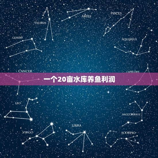 一个20亩水库养鱼利润，开一个养鱼场赚钱吗