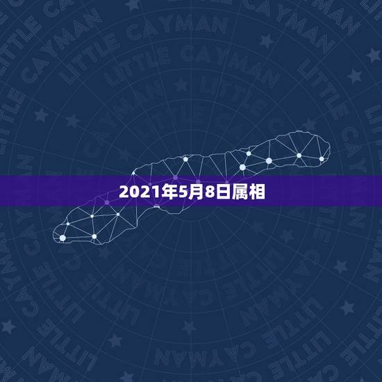 2021年5月8日属相，2021年2月8日属什么生肖属相
