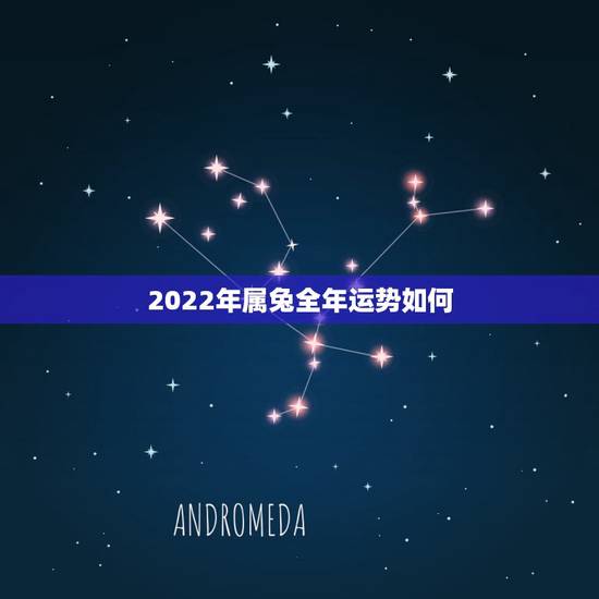 2022年属兔全年运势如何,2022年生肖兔运势完整版 2022年属兔全年运势如何,2022年生肖兔运势完整版