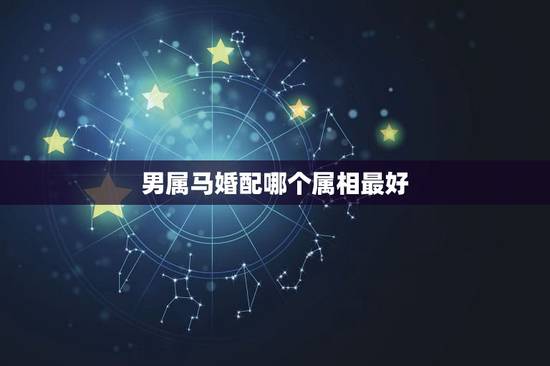 男属马婚配哪个属相最好，属马的配什么属相好