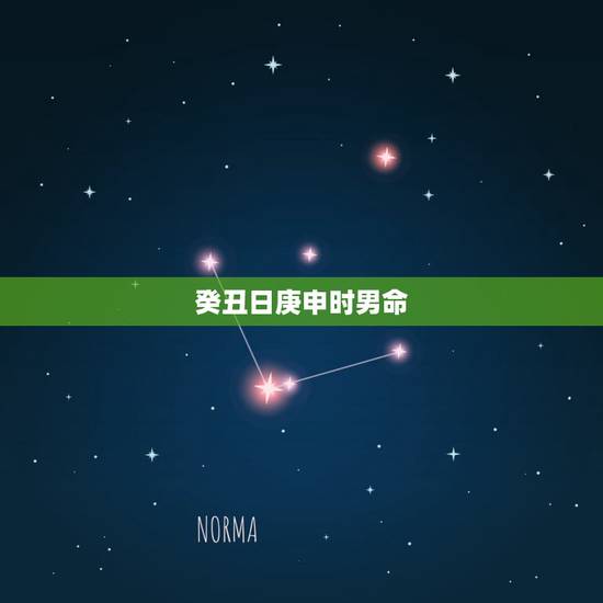 癸丑日庚申时男命,癸丑日生于庚申时 癸丑日庚申时男命,癸丑日生于庚申时