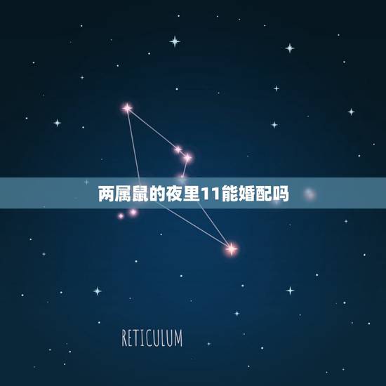 两属鼠的夜里11能婚配吗，属鼠的和什么属相最配 属鼠的属相婚配表
