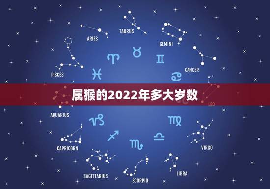 属猴的2022年多大岁数,属猴2022 年多大年龄 属猴的2022年多大岁数,属猴2022 年多大年龄