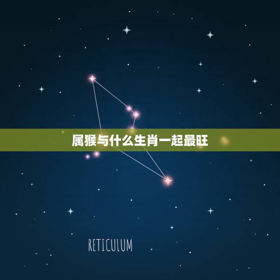 属猴与什么生肖一起最旺 属猴人的上等婚姻 属猴与什么生肖一起最旺 属猴人的上等婚姻