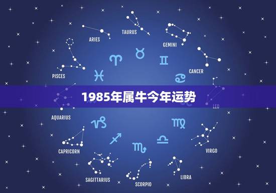 1985年属牛今年运势，1985年属牛的人女运程