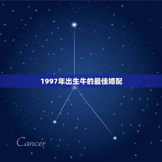 1997年出生牛的最佳婚配,1997女属牛人最佳婚配 1997年出生牛的最佳婚配,1997女属牛人最佳婚配
