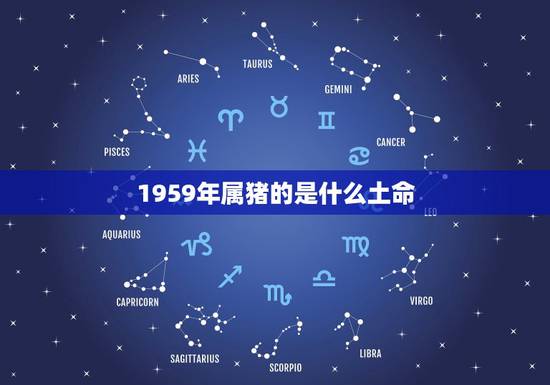 1959年属猪的是什么土命，1959年属什么生肖啥命