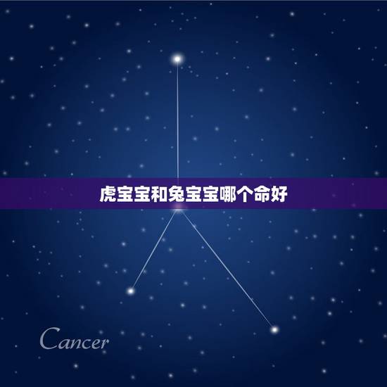 虎宝宝和兔宝宝哪个命好,兔宝宝全屋定制官 虎宝宝和兔宝宝哪个命好,兔宝宝全屋定制官