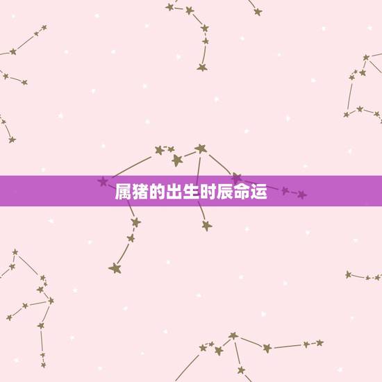 属猪的出生时辰命运，属猪的几点出生有福气