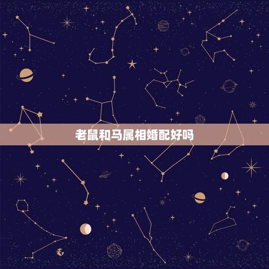老鼠和马属相婚配好吗,属鼠的和属马的婚姻相配吗 老鼠和马属相婚配好吗,属鼠的和属马的婚姻相配吗