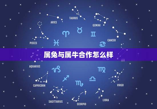 属兔与属牛合作怎么样，牛和兔姐妹好不好