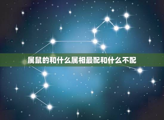 属鼠的和什么属相最配和什么不配，属鼠的和什么属相最配？