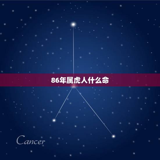 86年属虎人什么命,1986年的2月虎属于什么命 86年属虎人什么命,1986年的2月虎属于什么命